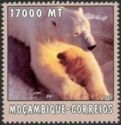 Polar Bear (Ursus maritimus)