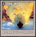 Polar Bear (Ursus maritimus)