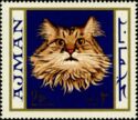 Yellow Persian (Felis silvestris catus)