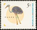 Greater Rhea (Rhea americana)