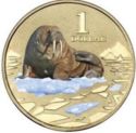 1 Dollar (Polar Animals - Walrus)