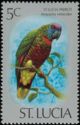 St. Lucia Parrot (Amazona versicolor)