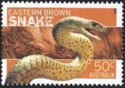 Eastern Brown Snake (Pseudonaja textilis)