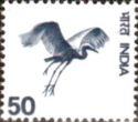 Virgin Crane (Anthropoides virgo)