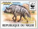 Striped Hyaena (Hyaena hyaena) - Golden Overprint