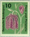 Snakeshead Lily (Fritillaria meleagris)
