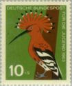 Eurasian Hoopoe (Upupa epops)