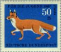 Red Fox (Vulpes vulpes)