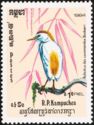 Eastern Cattle Egret (Bubulcus ibis coromandus)
