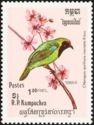 Golden-fronted Leafbird (Chloropsis aurifrons inornata)