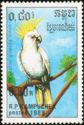 Sulphur-crested Cockatoo (Kakatoe galerita)