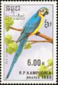 Blue-and-yellow Macaw (Ara ararauna)