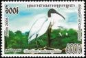 Black-headed Ibis (Threskiornis melanocephalus)