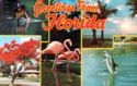 Florida. Greetings from Florida