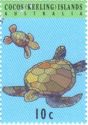 Two Green Turtles (Chelonia mydas)