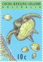 Green Turtle (Chelonia mydas), Butterflyfish and Map Section
