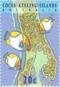 Three Pyramid Butterflyfish and Map Section