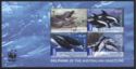 WWF – Dolphins of the Australian Coast