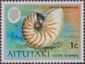 Bellybutton Nautilus (Nautilus macromphalus)