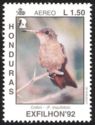 Cinnamon Hummingbird (Amazilia rutila)