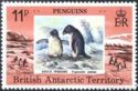 Adelie Penguin (Pygoscelis adeliae)
