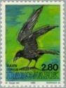 Common Raven (Corvus corax)