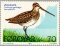 Common Snipe (Gallinago gallinago)
