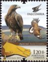 Golden Eagle (Aquila chrysaetos)