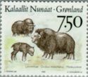 Muskox (Ovibos moschatus)