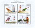 Lighthouses and Birds