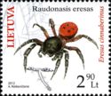 Ladybird Spider (Eresus cinnaberinus)