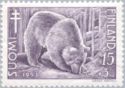 Brown Bear (Ursus arctos)