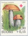 Orange Cap Boletus (Leccinum versipelle)