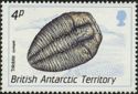 Trilobite, Lyriaspis