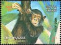 Chimpanzee (Pan troglodytes)
