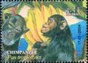 Chimpanzee (Pan troglodytes)
