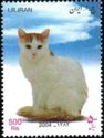 Turkish Van (Felis silvestris catus)