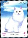 Persian Cat (Felis silvestris catus)