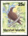 Brown Noddy (Anous stolidus)
