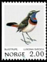 Bluethroat (Luscinia svecica svecica)