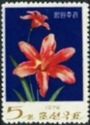 Day lily (Hemerocallis)