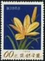 Yellow day lily (Hemerocallis minor)