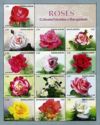 Rose Varieties Cultivated in Bangladesh