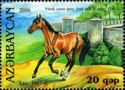 Karabakh Horse (Equus ferus caballus)(1867)