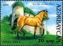 Karabakh Horse "Zaman" (Equus ferus caballus)(1952)