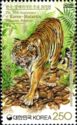 Malayan Tiger (Panthera tigris jacksoni)