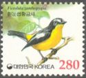 Yellow-rumped Flycatcher (Ficedula zanthopygia)