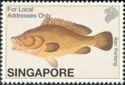 Greasy Grouper (Epinephelus tauvina)