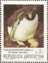 Southern Rockhopper Penguin (Eudyptes crestatus)
