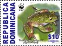 Hispaniolan Green Treefrog (Hypsiboas heilprini)